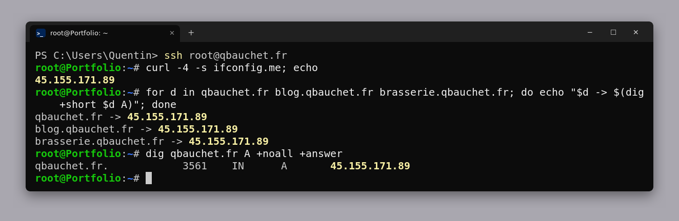 Terminal : IP publique du VPS et enregistrements A des trois domaines