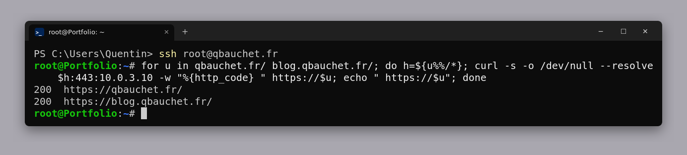 Terminal : qbauchet.fr et blog.qbauchet.fr répondent 200